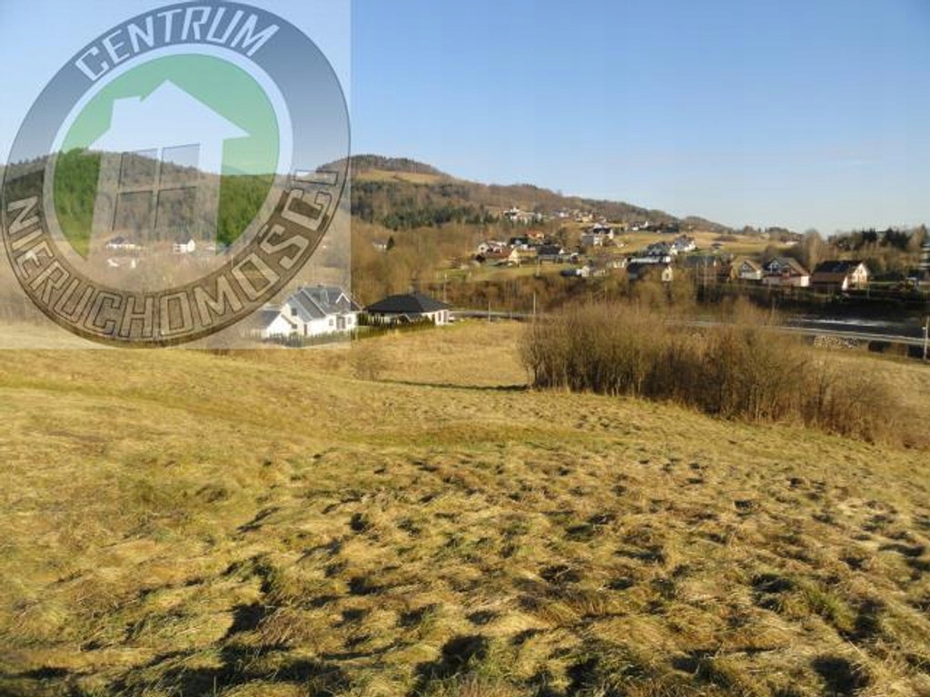 Działka, Paszyn, Chełmiec (gm.), 5400 m²