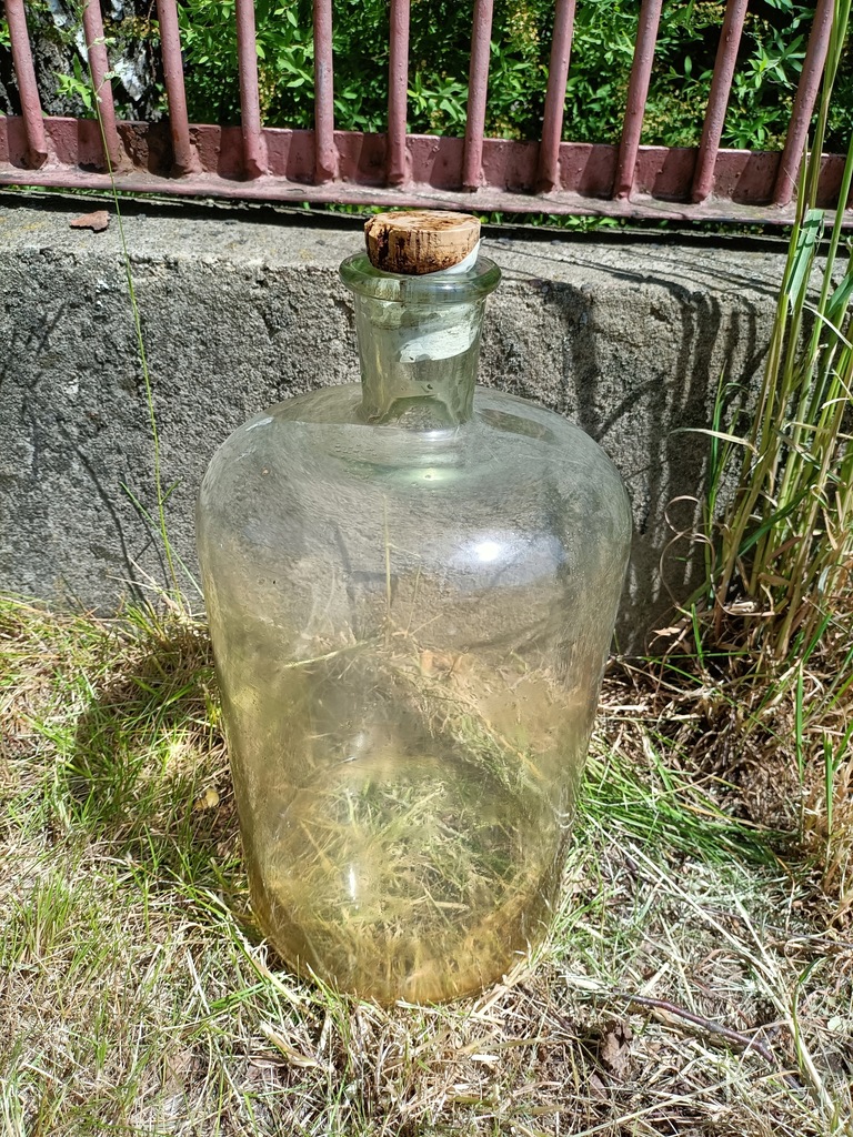 Duża stara butla apteczna gąsior
