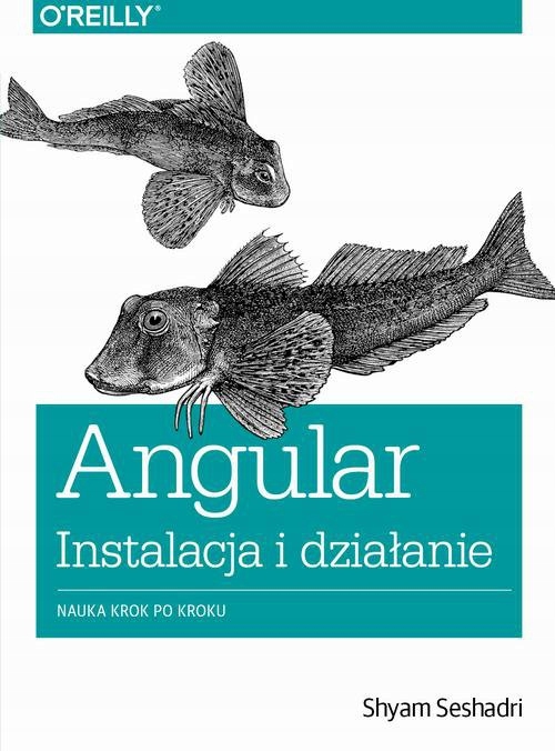 Angular instalacja i działanie - ebook