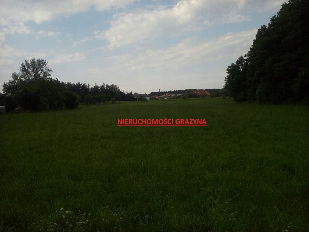 Działka, Raciążek, Raciążek (gm.), 9200 m²