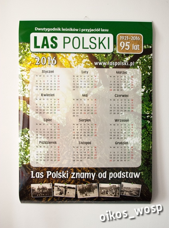 Kalendarz ścienny "Las Polski" na 2016 rok