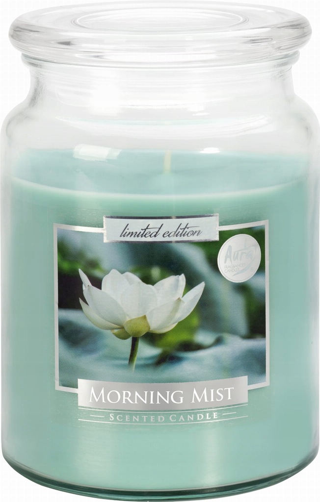 Świeca świeczka zapachowa słój BISPOL Morning Mist