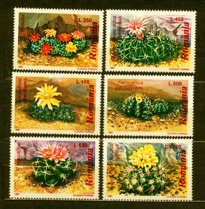 RUMUNIA** Kwitnące kaktusy Mi 5256-61