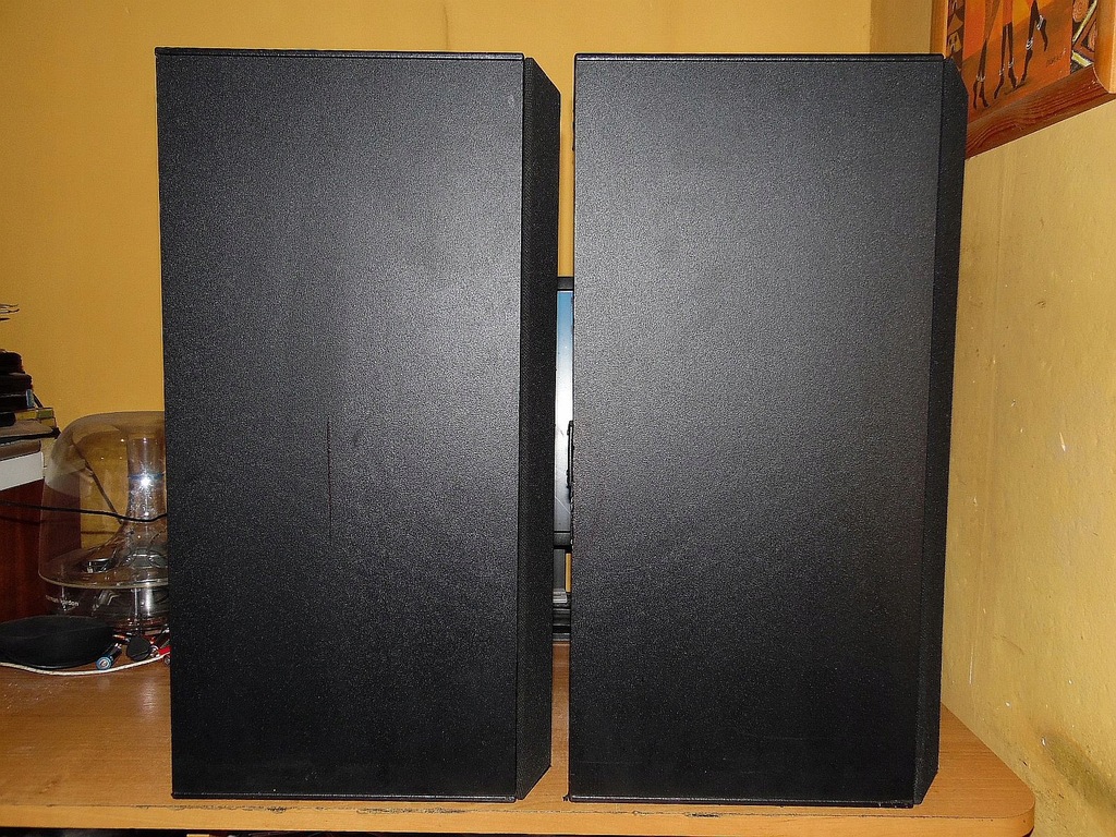 Kolumny BOSE INTERAUDIO 4000 XL 100Watt 25cm bass 12999856621