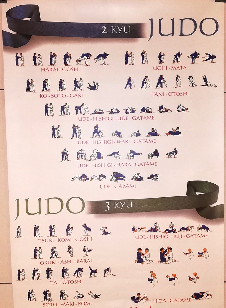 Plakat JUDO - 2kyu, 3kyu - wszyskie rzuty - unikat