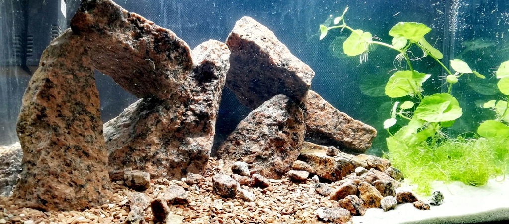Купить PANTHER STONE Масштабные аквариумные камни 25 кг: отзывы, фото и ...