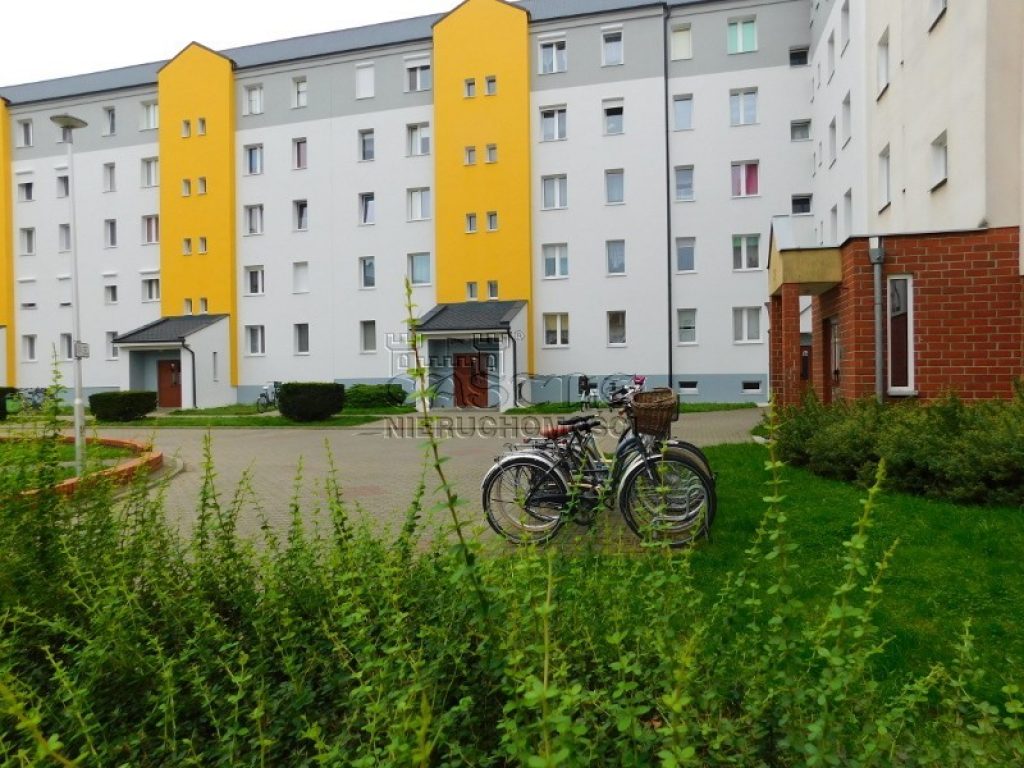 Mieszkanie, Nowy Tomyśl, Nowy Tomyśl (gm.), 64 m²