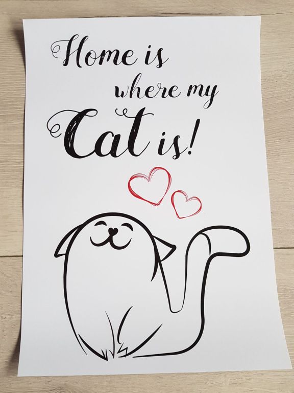 PLAKAT Home is where my Cat is! PaniKota design