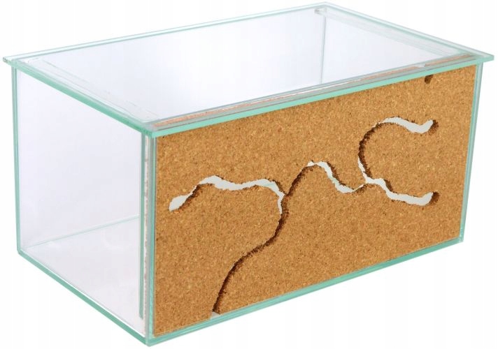 Купить Formicarium Piscina + стартовый набор Messor: отзывы, фото, характеристики в интерне-магазине Aredi.ru