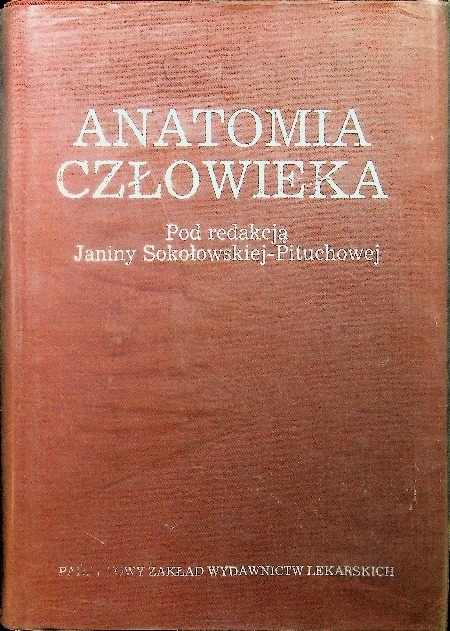 Anatomia człowieka