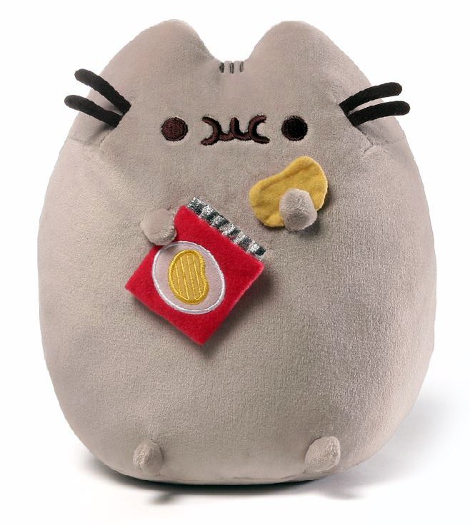 KOT PUSHEEN Z PACZKĄ CHIPSÓW ORYGINALNA MASKOTKA