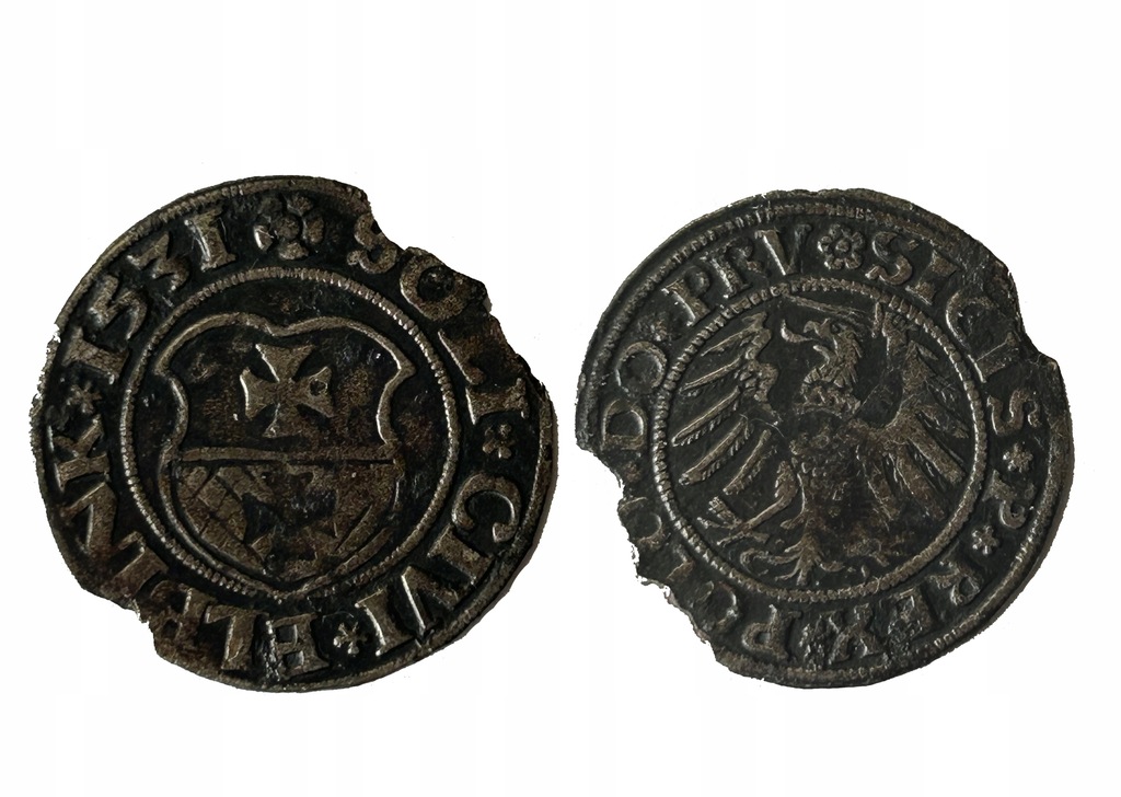 szeląg, Zygmunt I Stary, Elbląg 1531 srebro (1)