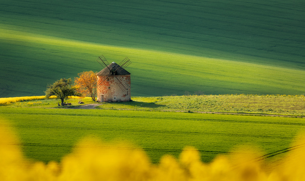 fotografia - Piotr Skrzypiec, Morawy