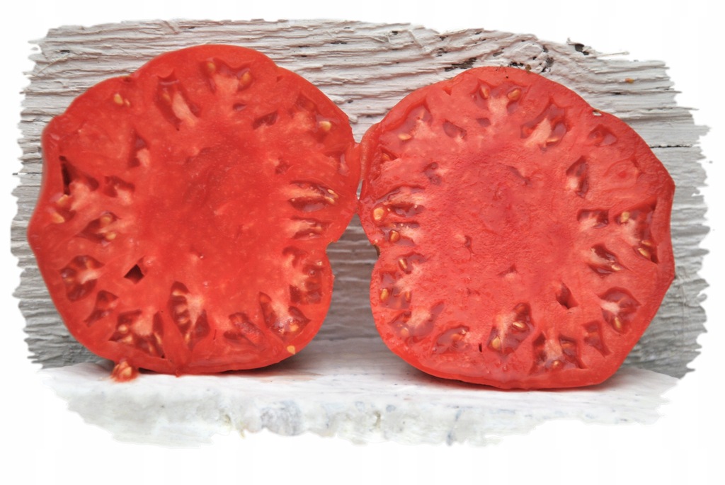 tomato Pomidor pomarańczowy Bendida nasiona Geosem 0,1 g | Sklep