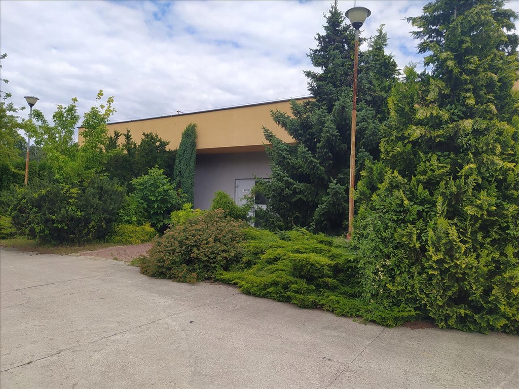 Lokal usługowy, Skierniewice, 522 m²