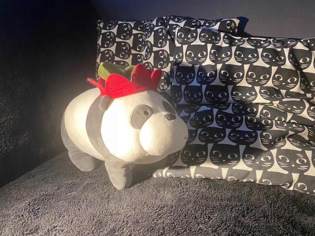 Pluszak miś między nami misiami