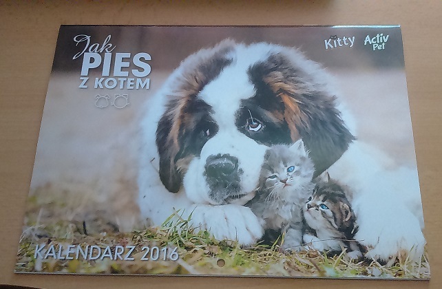 Kalendarz ścienny Jak pies z kotem 2016