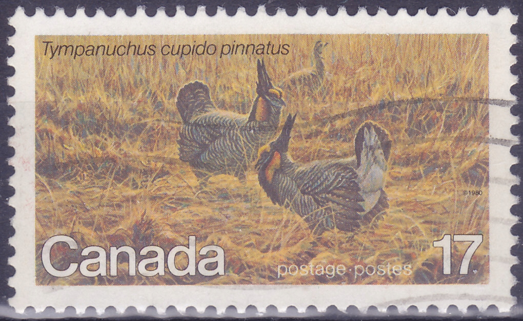 Kanada - znaczek kasowany z 1980 roku. X 1024.