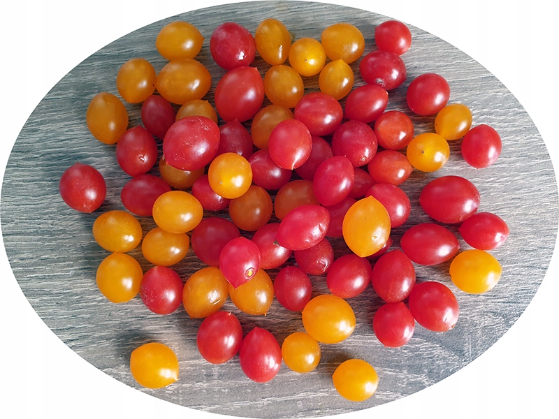 Najmniejszy pomidor świata Tomberry RED nasiona