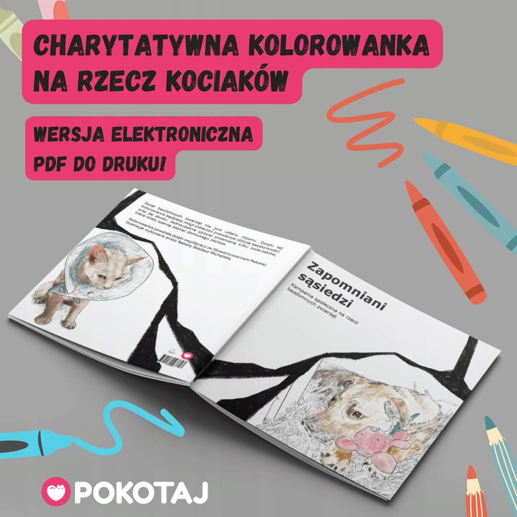 Kolorowanka do druku - akcja charytatywna dla bezdomnych kociaków kot kotek