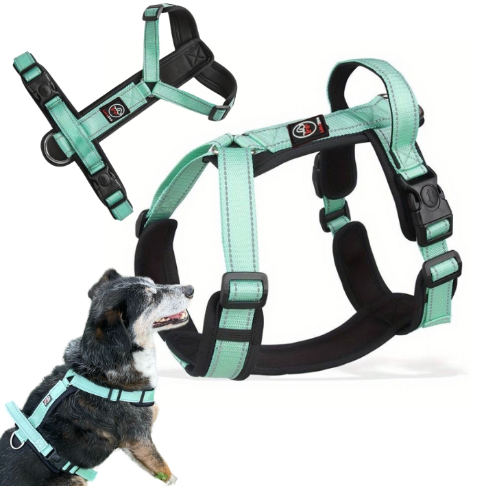 szelki regulowane GUARD dla psa CAPRI rozm L mięta