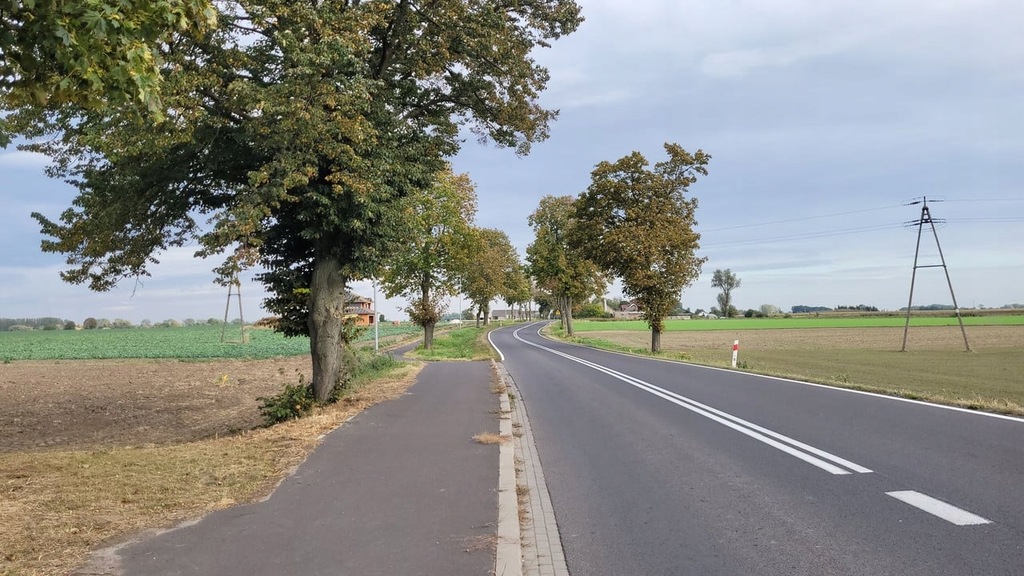 Działka, Owieczki, Łubowo (gm.), 981 m²