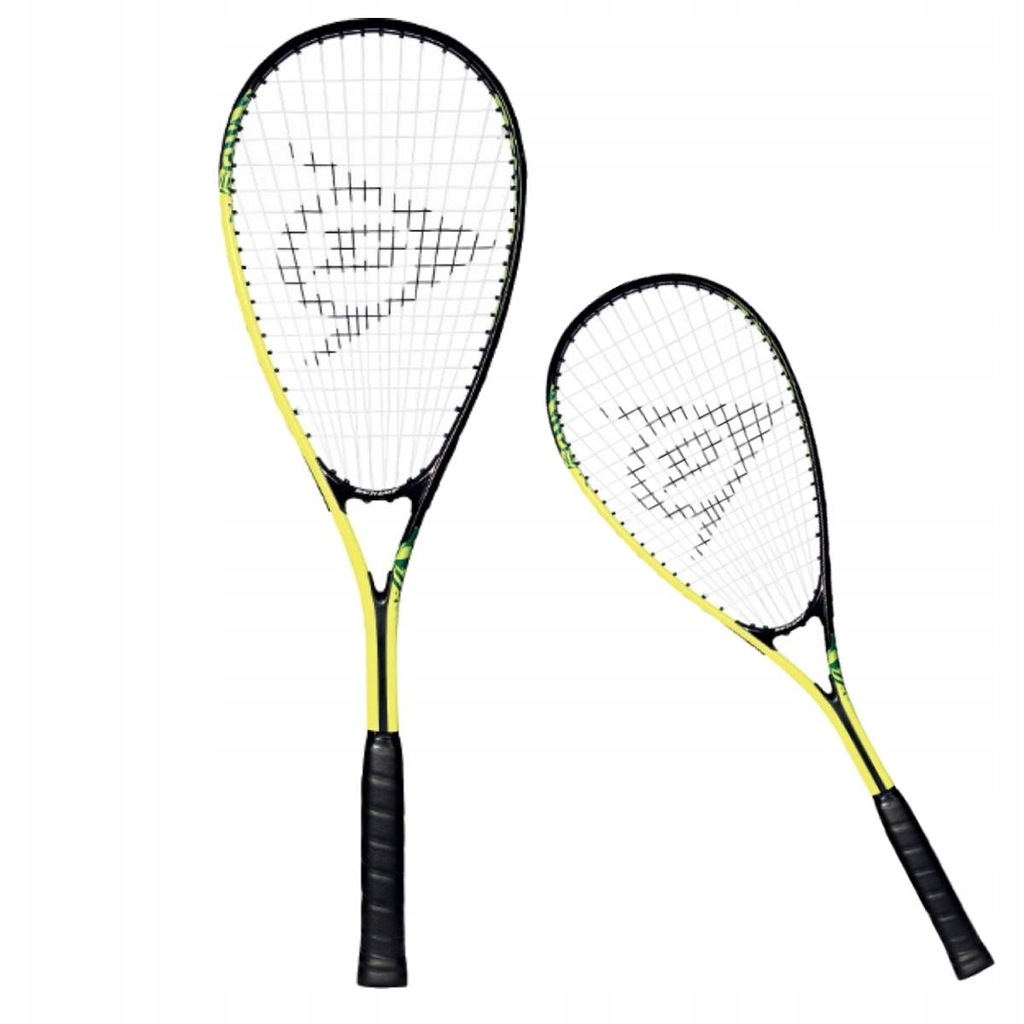 Купить Чехол для ракетки для сквоша DUNLOP Force Lite TI: отзывы, фото, характеристики в интерне-магазине Aredi.ru