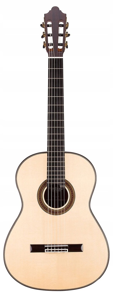 Gitara Martinez Professional DF69 S z futerałem