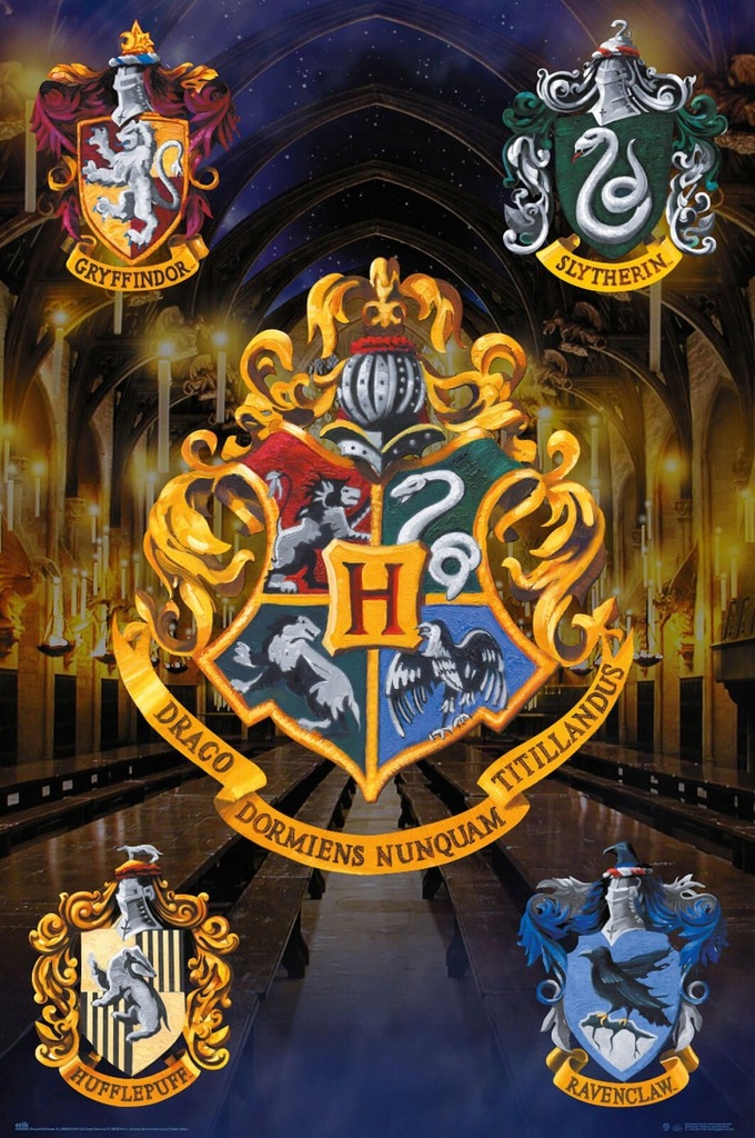 Plakat na ścianę Harry Potter Hogwarts 61x91,5 cm