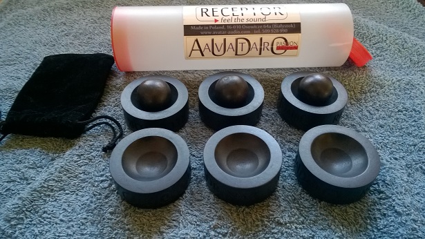 Avatar Audio Receptor Number 1