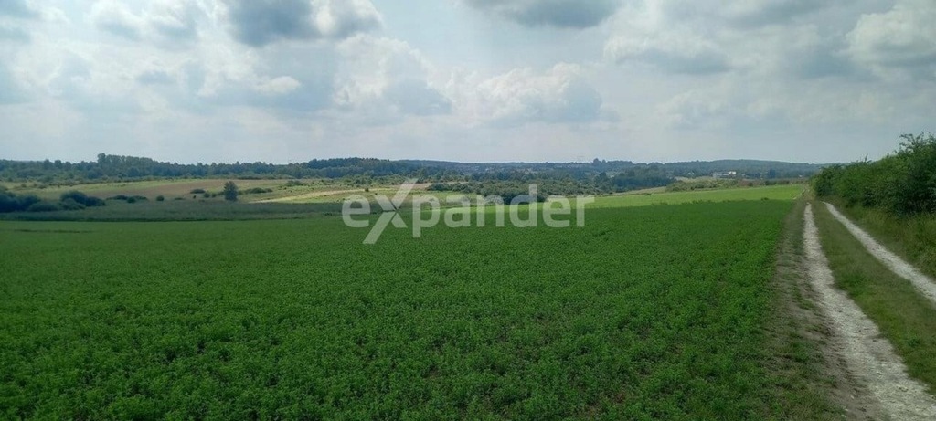 Działka, Mstów, Mstów (gm.), 30000 m²