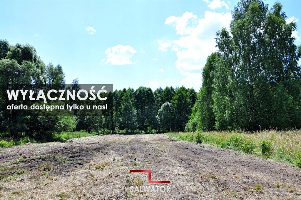 Działka, Trzebinia, Trzebinia (gm.), 3826 m²