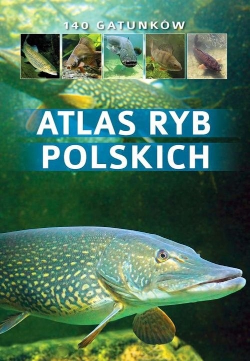 Atlas ryb polskich [Wziątek Bogdan]