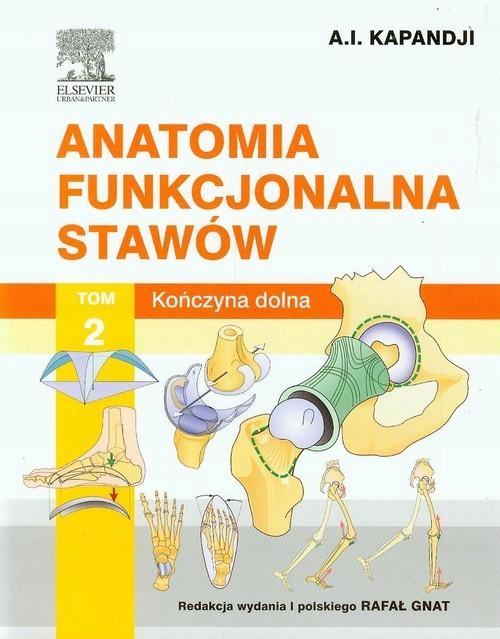 ANATOMIA FUNKCJONALNA STAWÓW TOM 2 KOŃCZYNA DOLNA