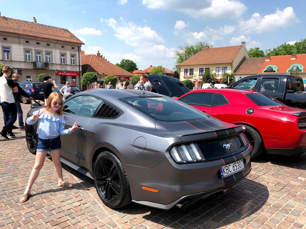 Купить MUSTANG 2.3 EcoBoost, вложено и застраховано: отзывы, фото, характеристики в интерне-магазине Aredi.ru