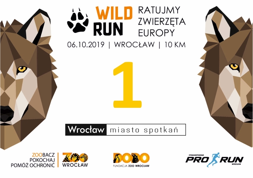 Numer startowy 1 w biegu Wild Run + sesja foto