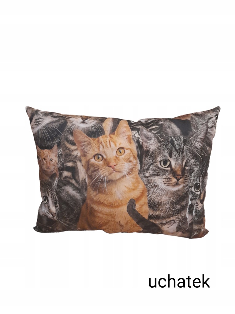 Poduszka dekoracyjna koty Produkt Polski