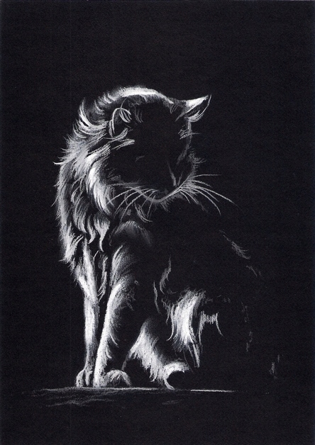 KOT kotek KOTY - Rysunek obraz na prezent - A4