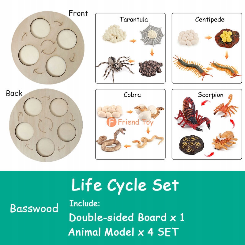 Montessori Animals Life Cycle Board Set Lifes