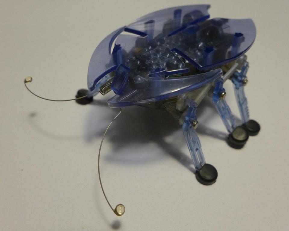 HEXBUG Beetle robot robak chrząszcz interaktywny