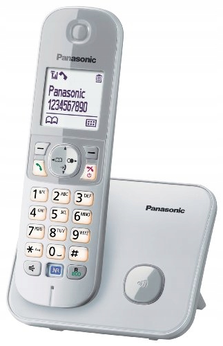 Telefon bezprzewodowy Panasonic KX-TG6811GS