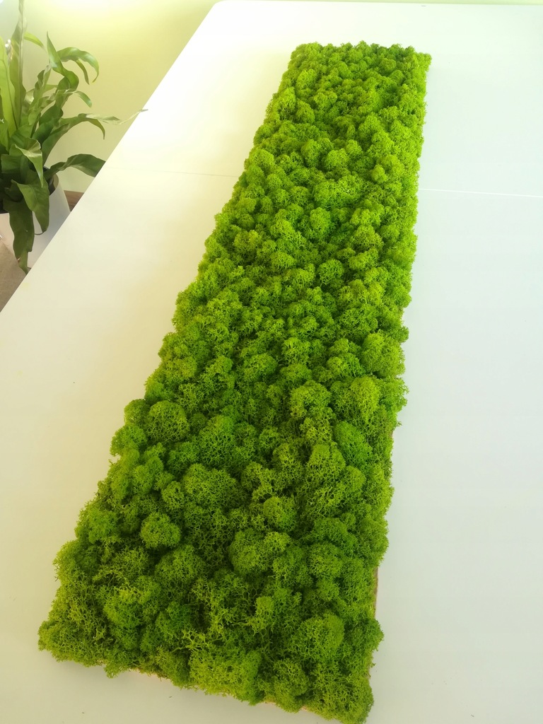 PANEL, ściana z MCHU stabilizowanego, chrobotka 9124331298