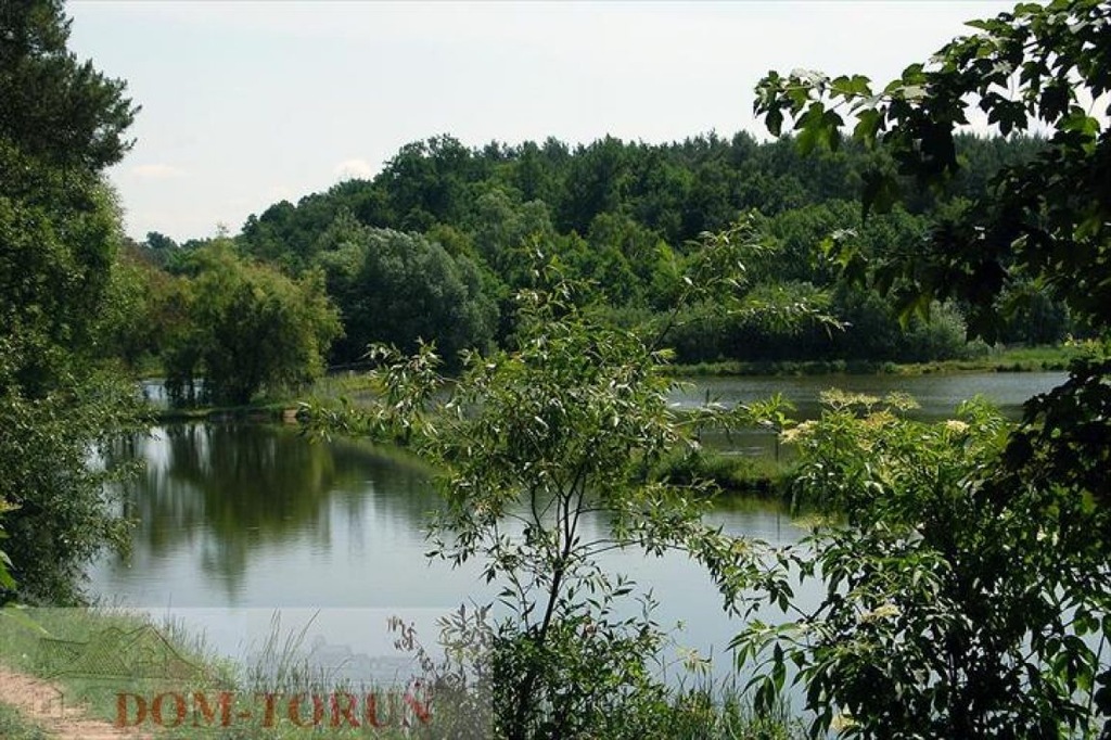 Działka, Pruska Łąka, 28400 m²