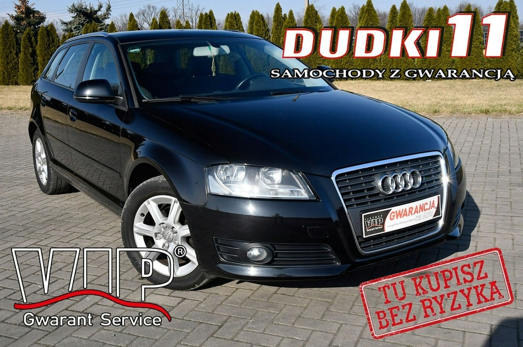 Audi A3 1.8Turbo DUDKI11 Serwis,Klimatr 2