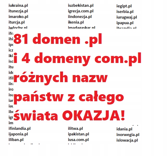 85 domen krajów śwata np. iniemcy.pl iwlochy irpa