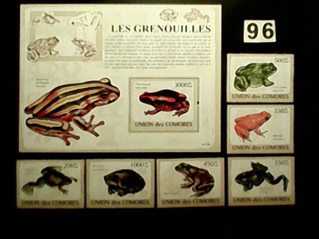 Zwierzęta, żabki , Komory MNH