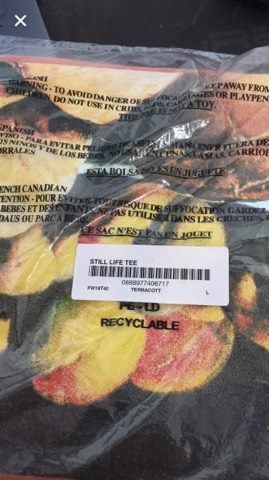 supreme still life tee terra cotta