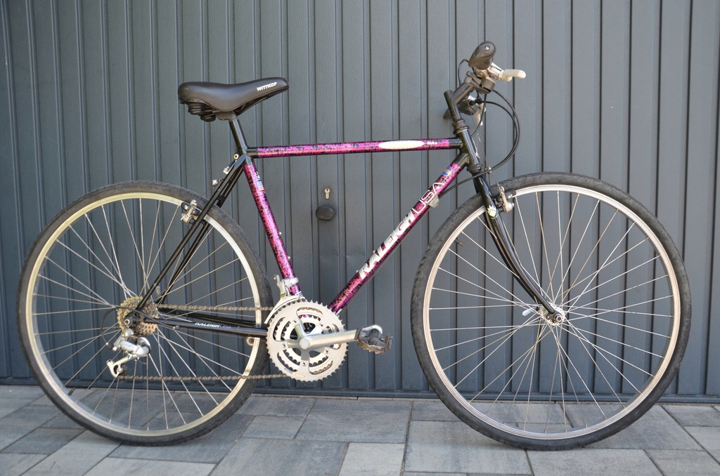 Raleigh Dash Max retro rower cross