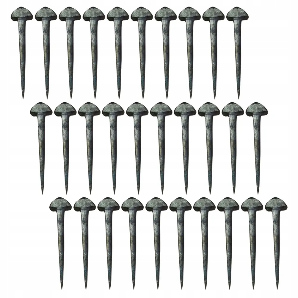 50pcs Horseshoe Tools Horseshoe Fixing Nails 13789242332 oficjalne