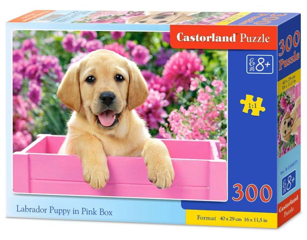 Labrador Puppy , Puzzle , Castorland ,  300 el.